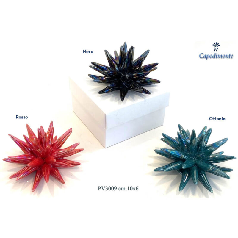 Bomboniera Anemone stellato di vari colori 10x6cm con box