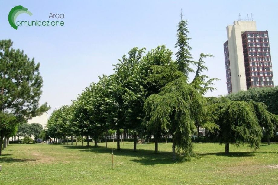 Azienda Ospedaliera Universitaria - Federico II